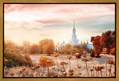 Sacramento 06 Gallery Wrap