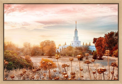 Sacramento 06 Gallery Wrap