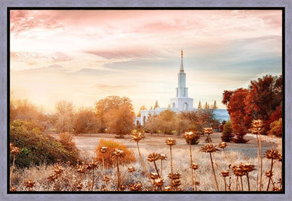 Sacramento 06 Gallery Wrap