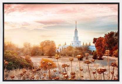 Sacramento 06 Gallery Wrap