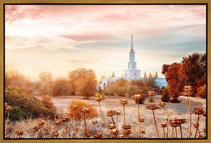 Sacramento 06 Gallery Wrap