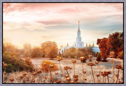 Sacramento 06 Gallery Wrap