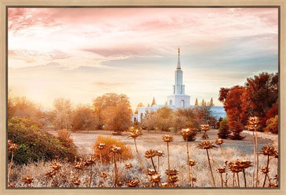 Sacramento 06 Gallery Wrap