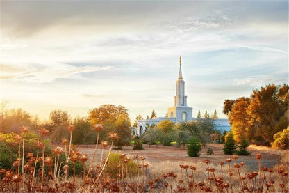 Sacramento 07 Gallery Wrap