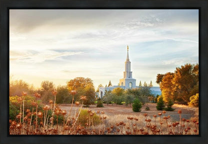 Sacramento 07 Gallery Wrap