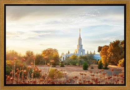 Sacramento 07 Gallery Wrap