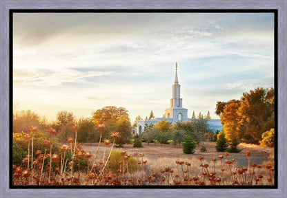 Sacramento 07 Gallery Wrap