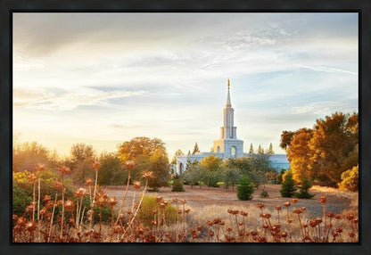 Sacramento 07 Gallery Wrap