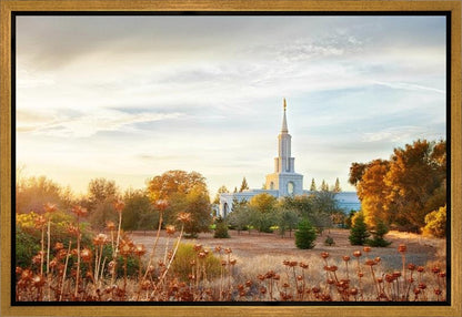 Sacramento 07 Gallery Wrap