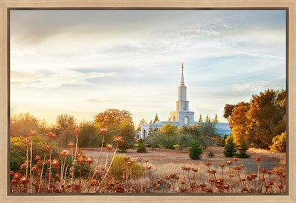 Sacramento 07 Gallery Wrap