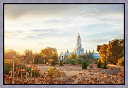 Sacramento 07 Gallery Wrap