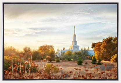 Sacramento 07 Gallery Wrap