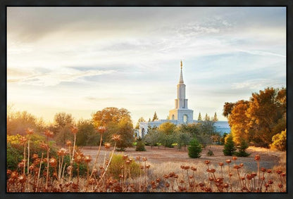 Sacramento 07 Gallery Wrap