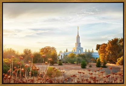 Sacramento 07 Gallery Wrap