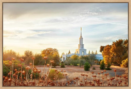 Sacramento 07 Gallery Wrap