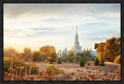 Sacramento 07 Gallery Wrap