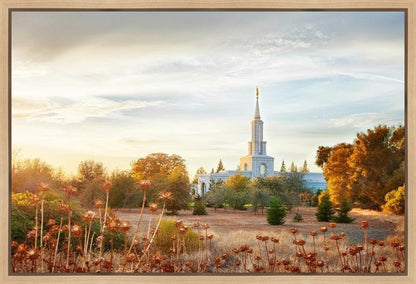 Sacramento 07 Gallery Wrap