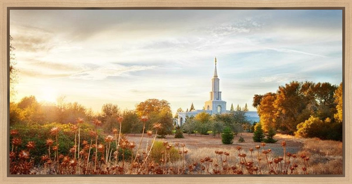Sacramento 07 Gallery Wrap