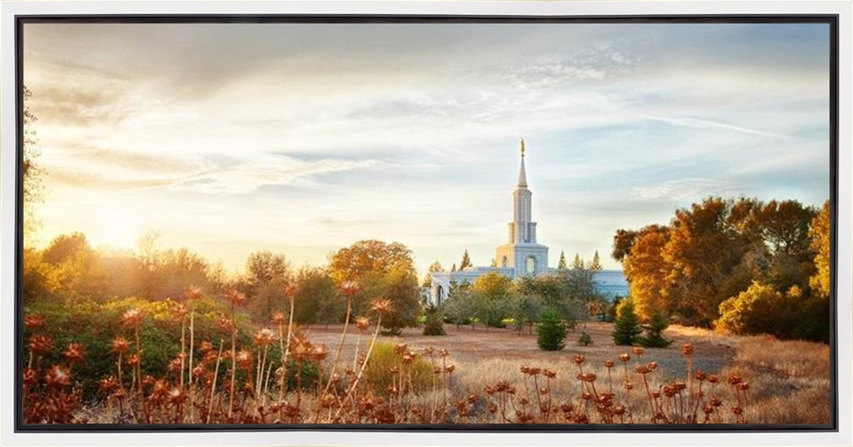 Sacramento 07 Gallery Wrap