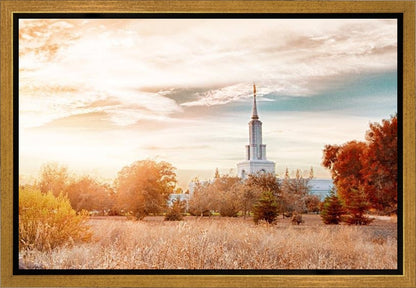 Sacramento 08 Gallery Wrap