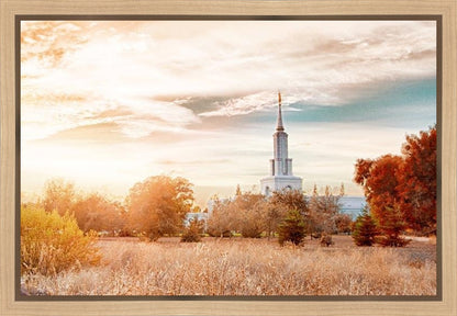 Sacramento 08 Gallery Wrap