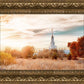 Sacramento 08