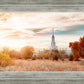 Sacramento 08