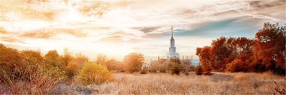 Sacramento 08 Gallery Wrap