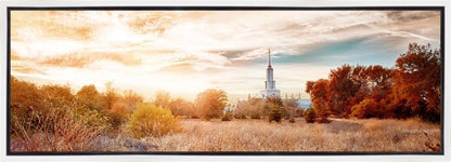 Sacramento 08 Gallery Wrap