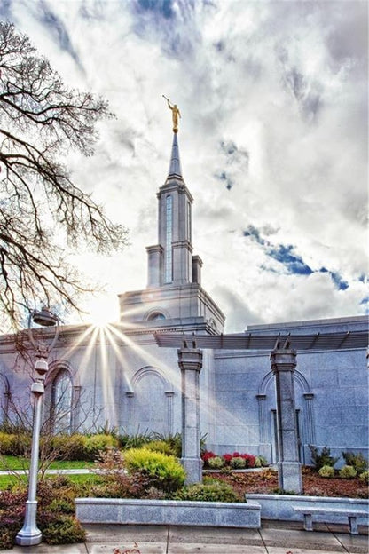 Sacramento 09 Gallery Wrap