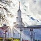 Sacramento 09