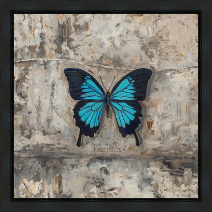 Become Procilla Beauty