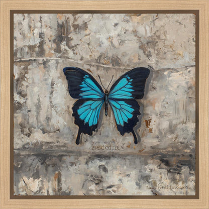 Become Procilla Beauty