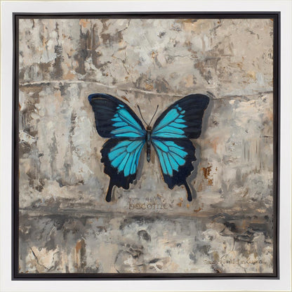 Become Procilla Beauty