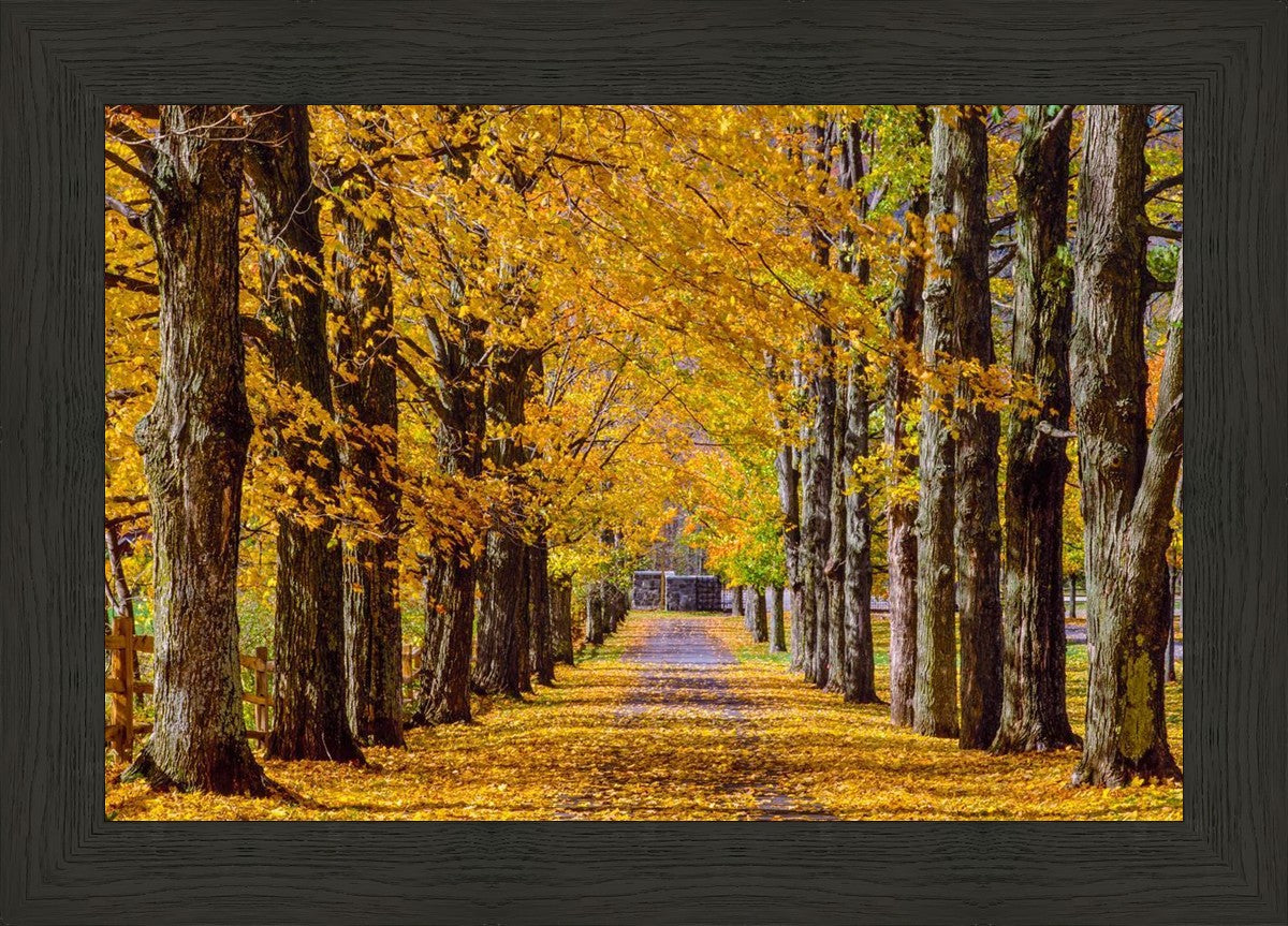 Plate 1 - Dairy Hill Horizontal