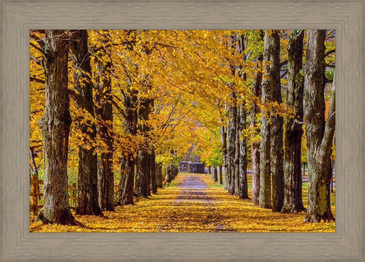 Plate 1 - Dairy Hill Horizontal