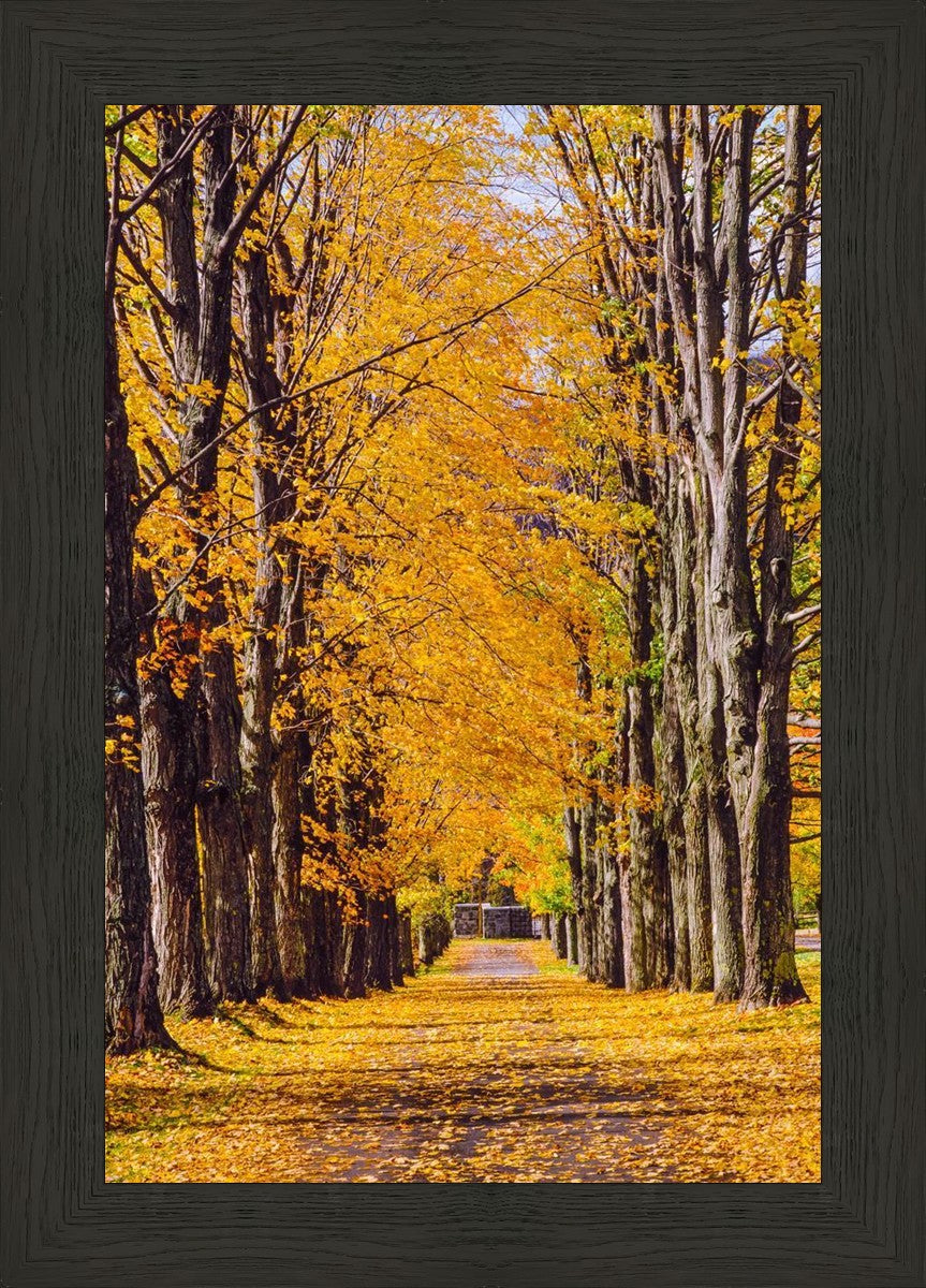 Plate 2 - Dairy Hill Vertical