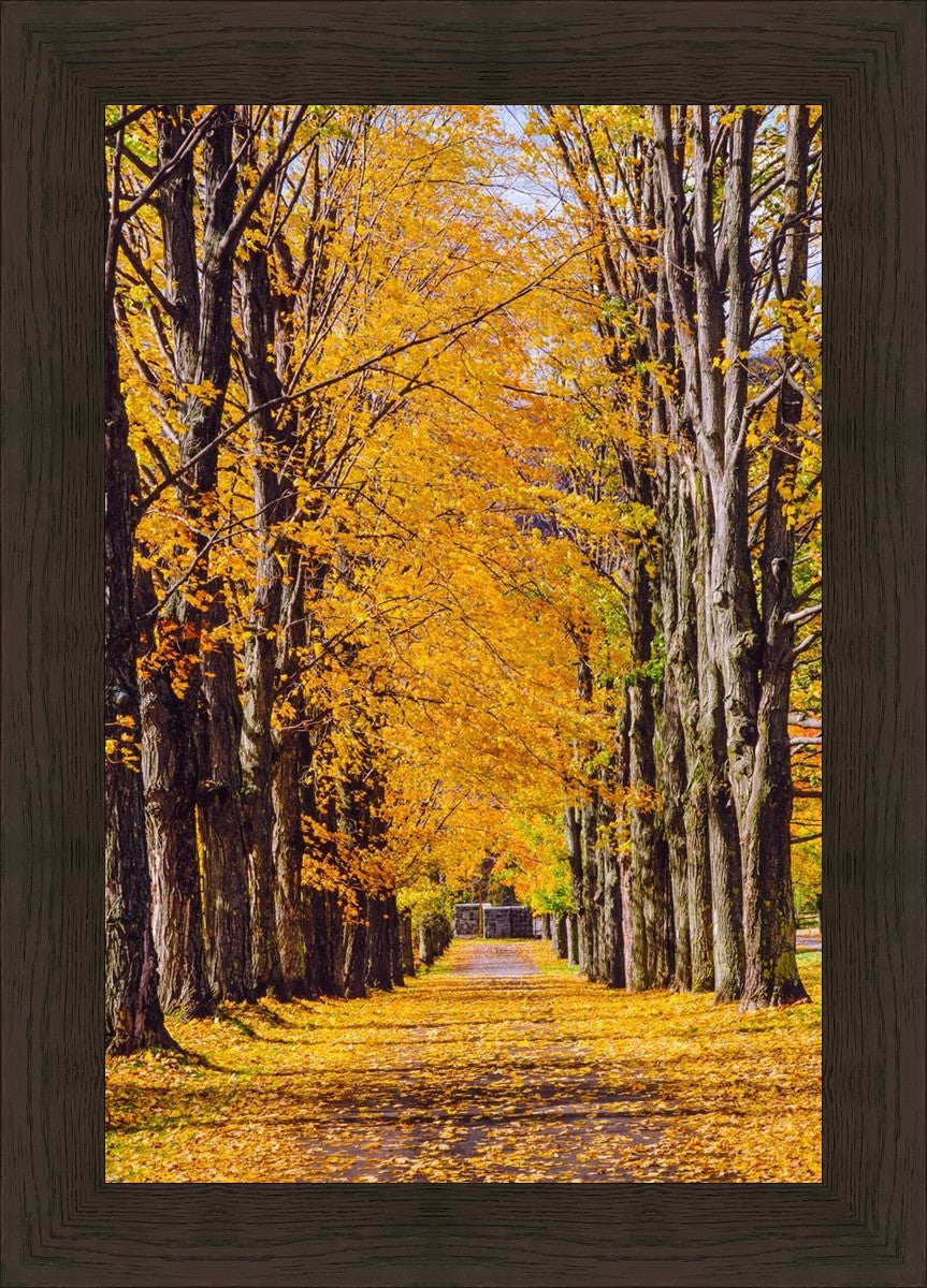 Plate 2 - Dairy Hill Vertical