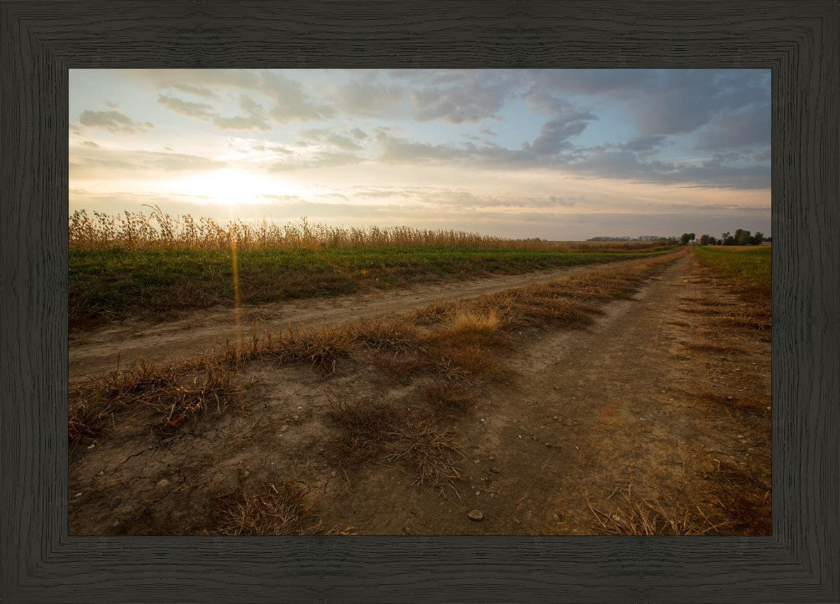 Plate 7 - Calm Before the Storm