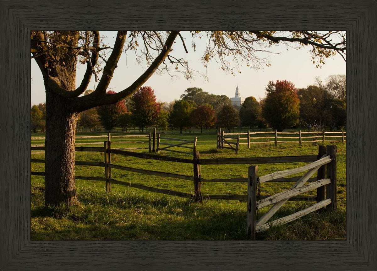 Plate 6 - The Gates are Open