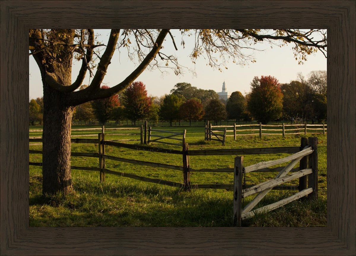 Plate 6 - The Gates are Open