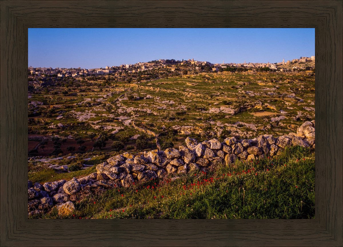 Plate 1 - Bethlehem in Early Spring