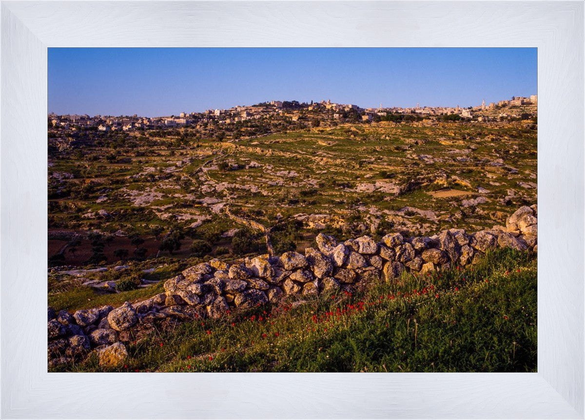 Plate 1 - Bethlehem in Early Spring