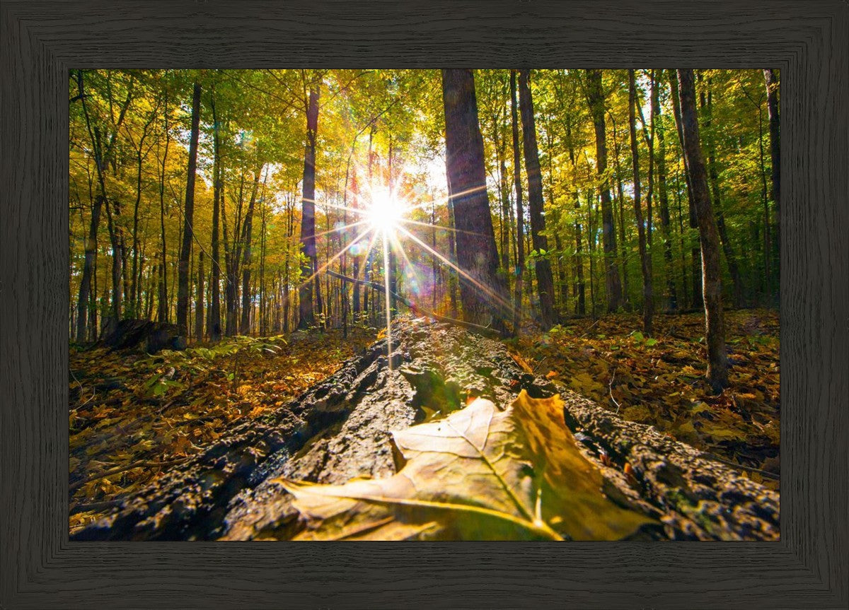 Plate 4 - Suddenly a Light Descended!