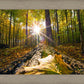 Plate 4 - Suddenly a Light Descended!