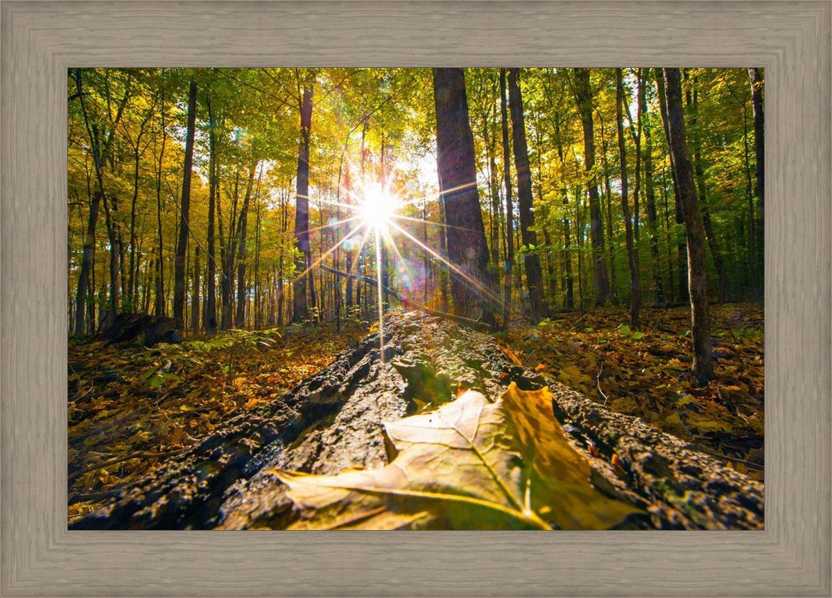 Plate 4 - Suddenly a Light Descended!