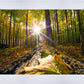 Plate 4 - Suddenly a Light Descended!