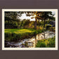 Plate 4 - Downham Spring Brook at Sunset