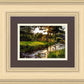 Plate 4 - Downham Spring Brook at Sunset