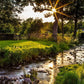 Plate 4 - Downham Spring Brook at Sunset